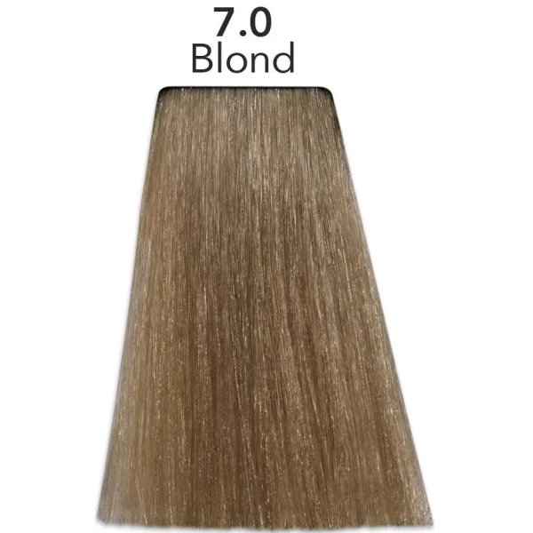 Coloration Color One 7.0 Blond Patrice Mulato 300ML 2 Coloration Color One 7.0 Blond Patrice Mulato 300ML – Image 2
