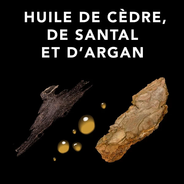 Huile Coiffante Dark Oil Sebastian 30ML 4 Huile Coiffante Dark Oil Sebastian 30ML – Image 4