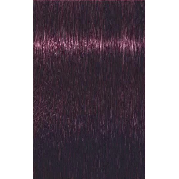 Schwarzkopf Igora Royal Mix 0-99 Concentré Violet 60 Ml 2 Schwarzkopf Igora Royal Mix 0-99 Concentré Violet 60 Ml – Image 2