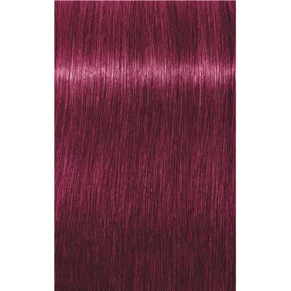 Schwarzkopf Igora Royal Mix 0.89 Teinte à Nuancer Rouge Violet 60 Ml 2 Schwarzkopf Igora Royal Mix 0.89 Teinte à Nuancer Rouge Violet 60 Ml – Image 2
