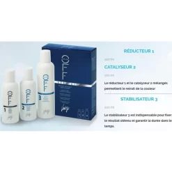 Kit Décapant Color Off Vitality's 100ml + 100ml + 200ml -Hair Care Soldes kit decapant color off vitality s 100ml 100ml 200ml 2