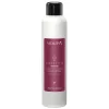Mousse Cheveux épais Volume Care & Style Vitality's 250ML