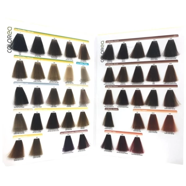 Nuancier Colorea Fauvert Professionnel 2 Nuancier Colorea Fauvert Professionnel – Image 2