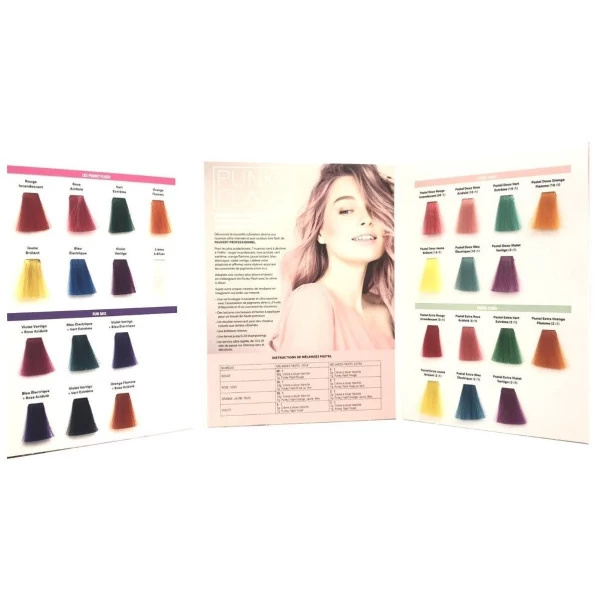 Nuancier Punky Flash Fauvert Professionnel 2 Nuancier Punky Flash Fauvert Professionnel – Image 2