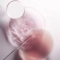 Pack Bouteille Et Recharge Bain Riche Cheveux Normaux à épais Chroma Absolu Kérastase 500ML -Hair Care Soldes pack bouteille et recharge bain riche cheveux normaux a epais chroma absolu kerastase 500ml 6