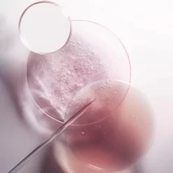 Recharge Bain Riche Cheveux Normaux à épais Chroma Absolu Kérastase 500ML -Hair Care Soldes recharge bain riche cheveux normaux a epais chroma absolu kerastase 500ml 6