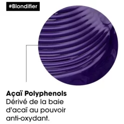 Routine Blondifier Gloss L'Oréal Professionnel -Hair Care Soldes routine blondifier gloss l oreal professionnel 4
