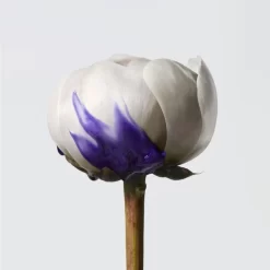 Shampoing Révélateur D’éclat Yubi Blonde Shu Uemura 300ML -Hair Care Soldes shampoing revelateur declat yubi blonde shu uemura 300ml 3