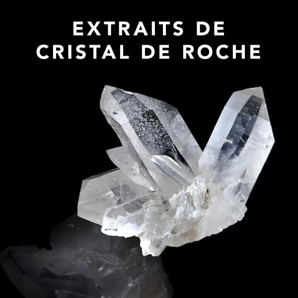 Shampooing Brillance Trilliance Sebastian 250ML 2 Shampooing Brillance Trilliance Sebastian 250ML – Image 2