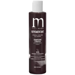 Shampooing Neutralisant Cendreur Patrice Mulato 200ML