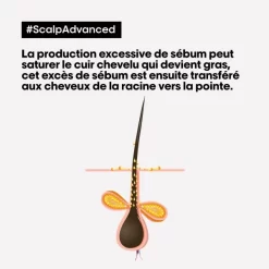 Shampooing Purifiant Cheveux Gras Scalp Advanced L'Oréal Professionnel 500ML -Hair Care Soldes shampooing purifiant cheveux gras scalp advanced l oreal professionnel 500ml 4