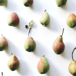 Shampooing Revitalisant Back-bar Farmavita 250ML -Hair Care Soldes shampooing revitalisant back bar farmavita 250ml 2