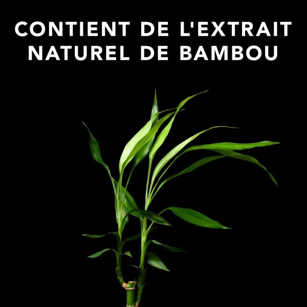 Shampooing Volup Sebastian 1L 3 Shampooing Volup Sebastian 1L – Image 3